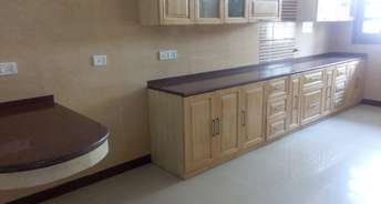 3 BHK Builder Floor For Rent in Sector 9 Chandigarh 6323331