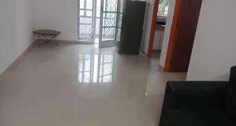 2 BHK Apartment For Rent in Casa Lavelle Lavelle Road Bangalore 6323416