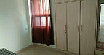1 BHK Apartment For Rent in Panchsheel Nagar Thane 6323808