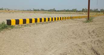  Plot For Resale in Paliya Lucknow 6324912