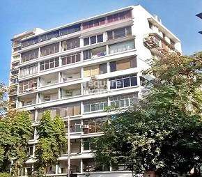 1 BHK Apartment For Resale in Sneh Sadan Apartments Colaba Mumbai 6325182