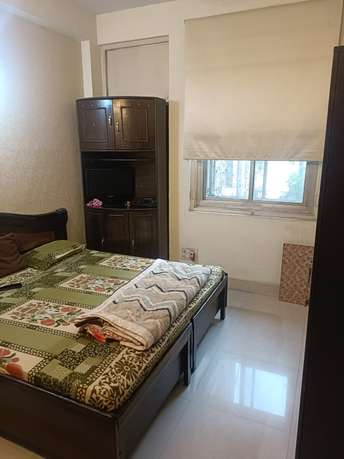 2 BHK Apartment For Resale in Vidyut Nikunj Apartments Ip Extension Delhi 6325298