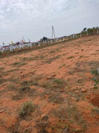  Plot For Resale in Mallepally Hyderabad 6325475