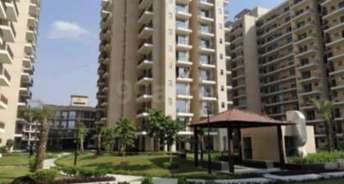 3 BHK Apartment For Resale in Signature Global Andour Height Sector 71 Gurgaon 6326085