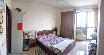 2 BHK Independent House For Rent in Sector 14 Gurgaon 6327817
