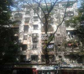 2 BHK Apartment For Rent in New Golden Green CHS Borivali West Mumbai 6328828