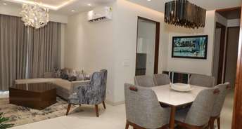 3 BHK Apartment For Resale in Panchkula Chandigarh 6329129