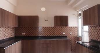 3.5 BHK Builder Floor For Rent in BPTP Amstoria Country Floor  Sector 102 Gurgaon 6330649