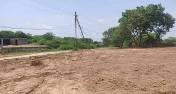  Plot For Resale in Gn Knowledge Park 1 Greater Noida 6330850