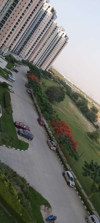 2 BHK Apartment For Rent in Jaypee Greens Aman Sector 151 Noida 6331058
