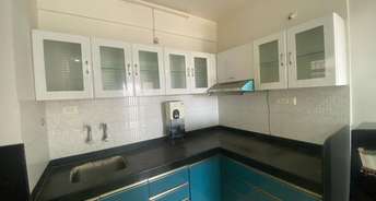 1 BHK Apartment For Rent in Amba Nagari Dhanori Pune 6331358