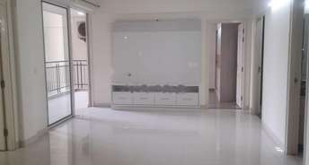 2 BHK Apartment For Rent in Godrej Aria Sector 79 Gurgaon 6331981