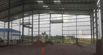 Commercial Warehouse 50000 Sq.Ft. For Rent In Cda Area Cuttack 6332444