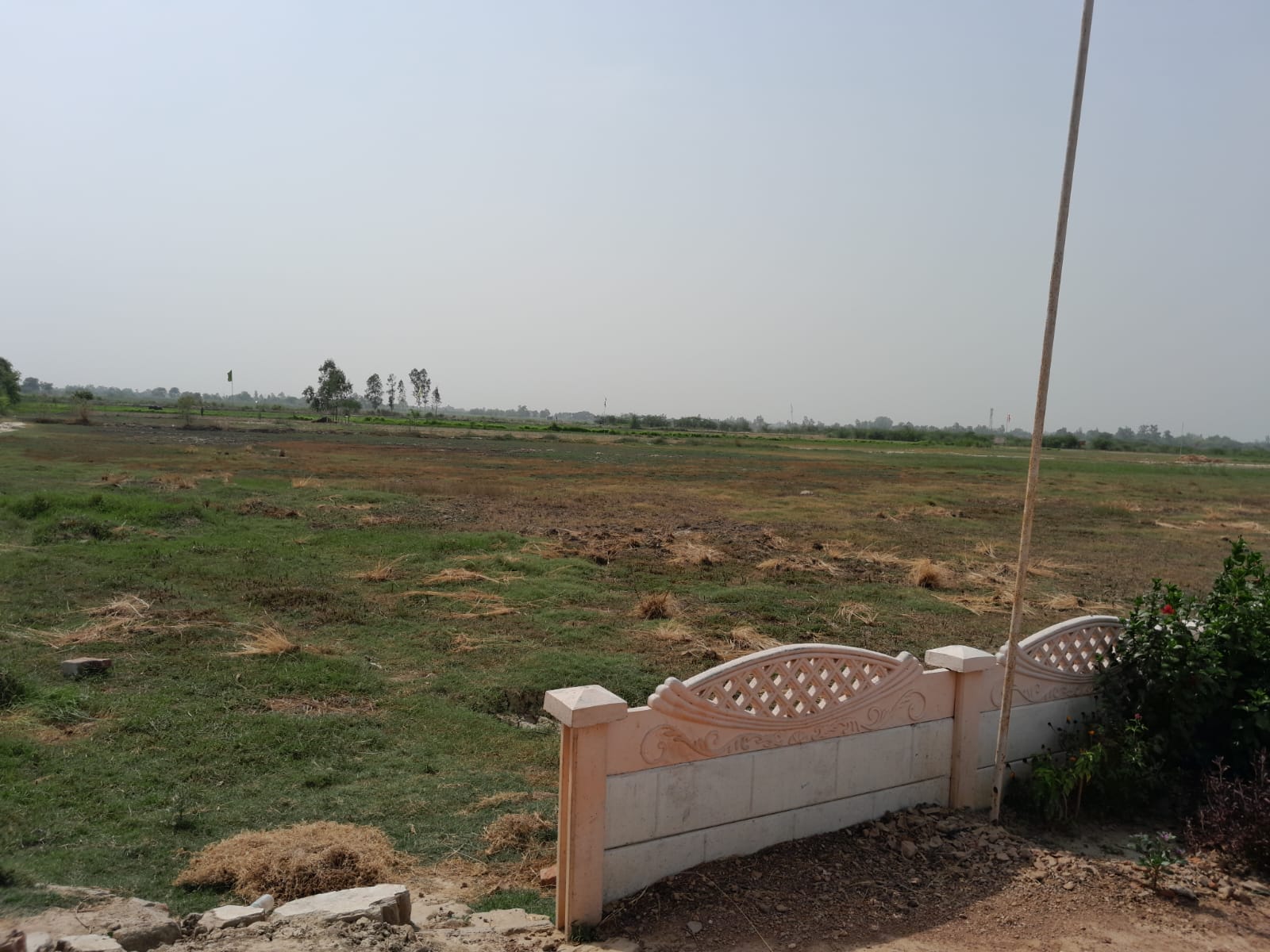 Plot For Resale in Gosainganj Lucknow  6332525