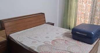 3.5 BHK Apartment For Rent in Sector 91 Mohali 6332642