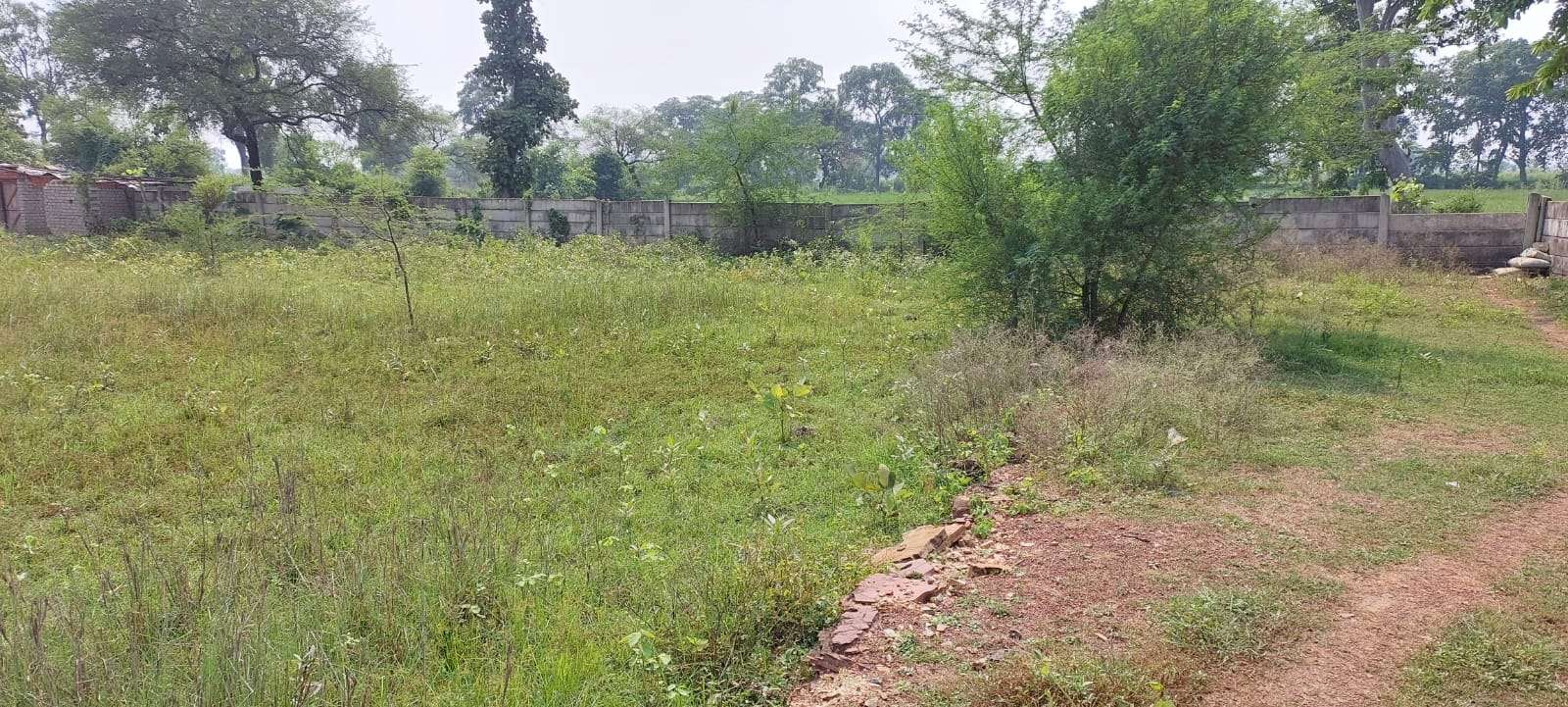 Property in Dayalband, Bilaspur  1+ Property for Sale in Dayalband,  Bilaspur
