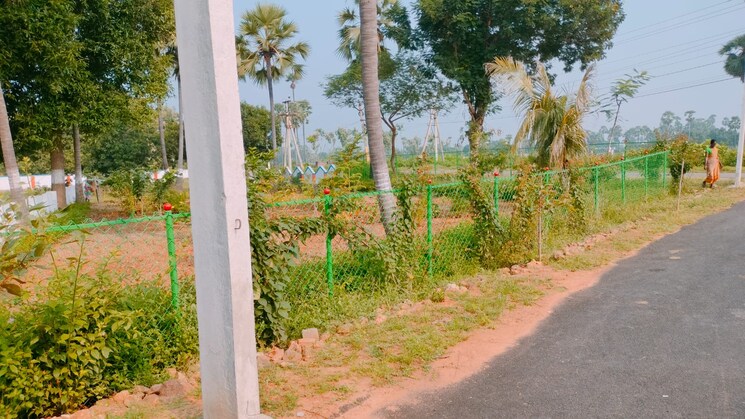 Garden, thagarapuvalasa  200 Sq.Yd. Plot In Thagarapuvalasa Vizag 6332931