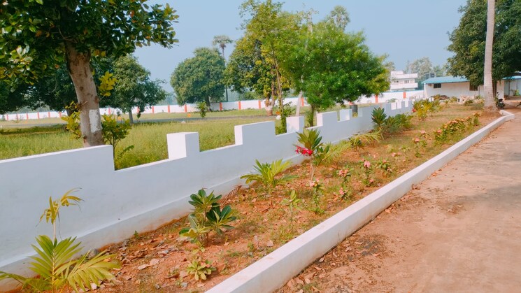 Nearby, thagarapuvalasa  200 Sq.Yd. Plot In Thagarapuvalasa Vizag 6332931
