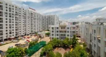 2 BHK Apartment For Resale in Manjri Green Woods Manjari Pune 6332781