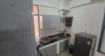 1 BHK Apartment For Rent in GLS Arawali Home Sohna Sector 4 Gurgaon 6333279