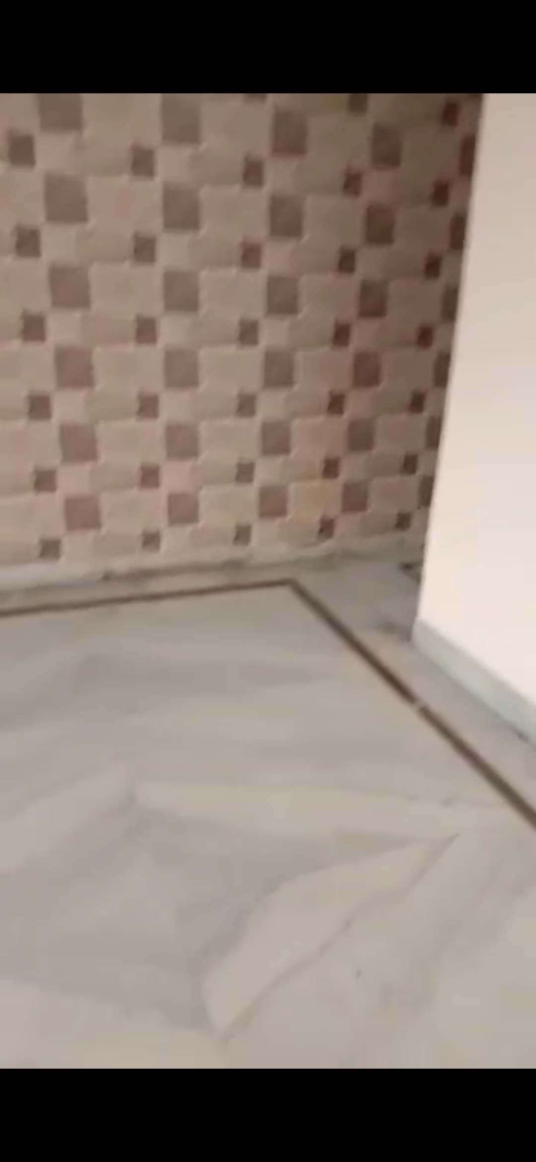 Rental 2 Bedroom 200 Sq.Ft. Independent House in Ashoka Enclave