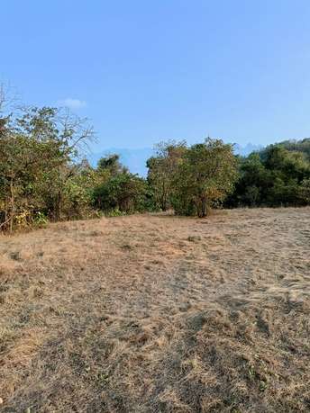  Plot For Resale in Murbad Road Thane 6333736