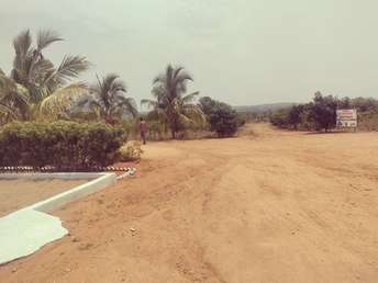 Plot For Resale in Shadnagar Hyderabad  6334311