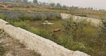  Plot For Resale in RWA Apartments Sector 110 Sector 110 Noida 6334830