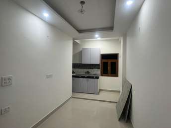 1 BHK Builder Floor For Rent in Saket Residents Welfare Association Saket Delhi 6335115