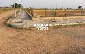 Commercial Land 20000 Sq.Yd. For Resale In Greater Mohali Mohali 6336184