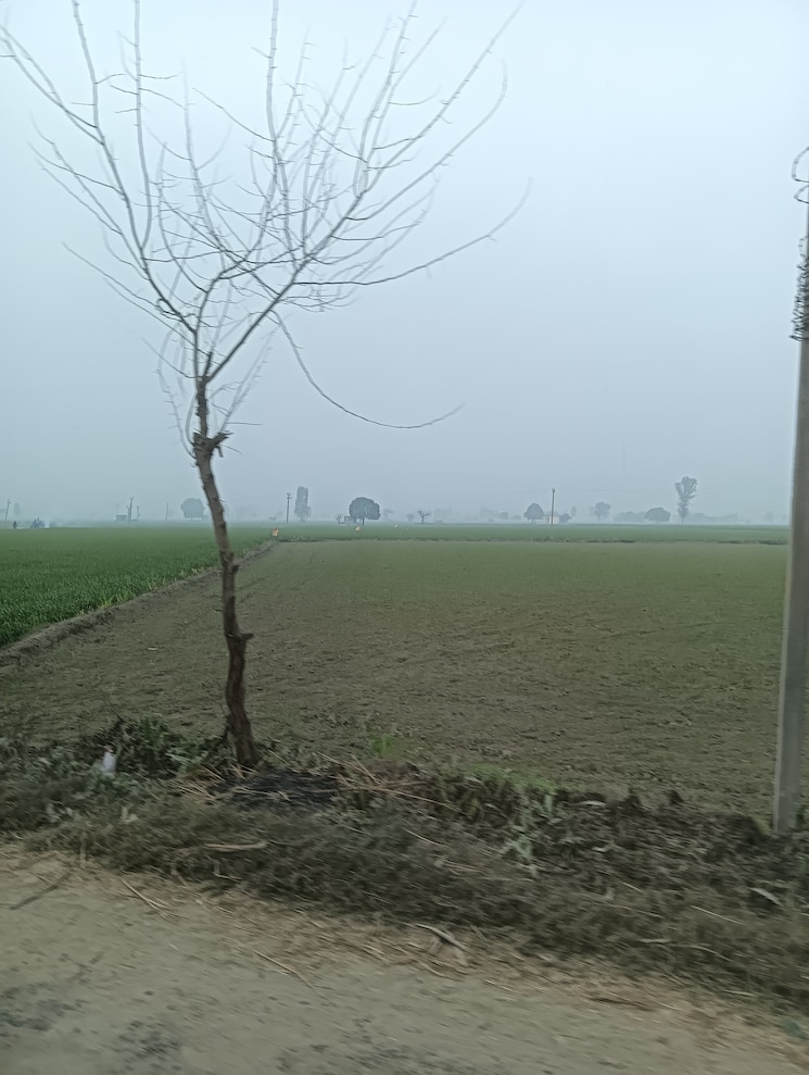 resale-commercial-land-42-acre-in-assandh-karnal-7026093