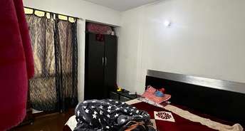 2 BHK Apartment For Rent in Jaypee Greens Kosmos Sector 134 Noida 6336199