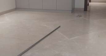 4 BHK Builder Floor For Rent in Punjabi Bagh West Delhi 6336348