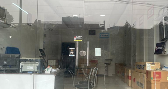 Commercial Showroom 750 Sq.Ft. For Rent In Ludhiana Ludhiana 6336468