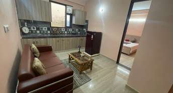 1 BHK Builder Floor For Rent in Housing Board Colony Sector 17 Sector 17a Gurgaon 6336511