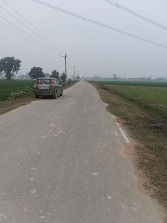 Commercial Land 50 Acre For Resale In Tappal  Greater Noida 6336655