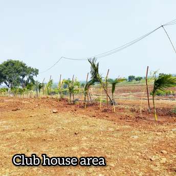 Commercial Land 605 Sq.Ft. For Resale In Zaheerabad Sangareddy 6337328