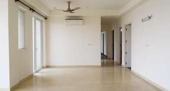 4 BHK Apartment For Rent in Conscient Heritage Max Sector 102 Gurgaon 6337502
