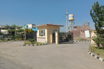  Plot For Resale in Sector 4 Panchkula 6337580