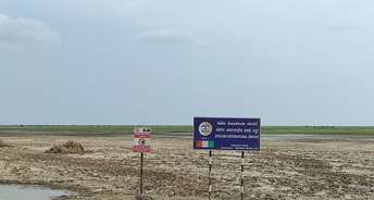 Commercial Land 33524 Sq.Ft. For Resale In Dholera Ahmedabad 6337476