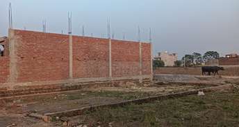  Plot For Resale in Kamta Lucknow 6338175