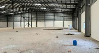 Commercial Warehouse 40000 Sq.Yd. For Rent In Paldi Ahmedabad 6338312