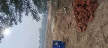  Plot For Resale in Sultanpur Gurgaon 6338310