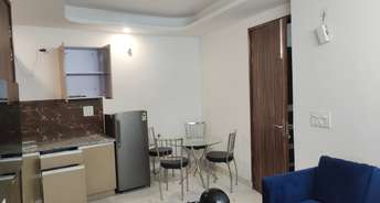 1 BHK Apartment For Resale in Neb Sarai Delhi 6338777