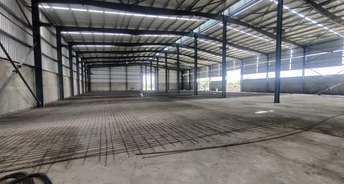 Commercial Warehouse 40000 Sq.Yd. For Rent In Vadodar Vadodara 6338801