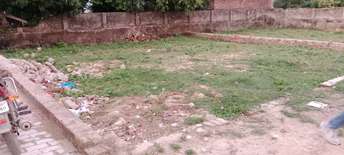  Plot For Resale in Sarnath Varanasi 6338817