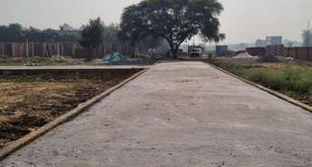 Plot For Resale in Noida Ext Sector 10 Greater Noida 6339077