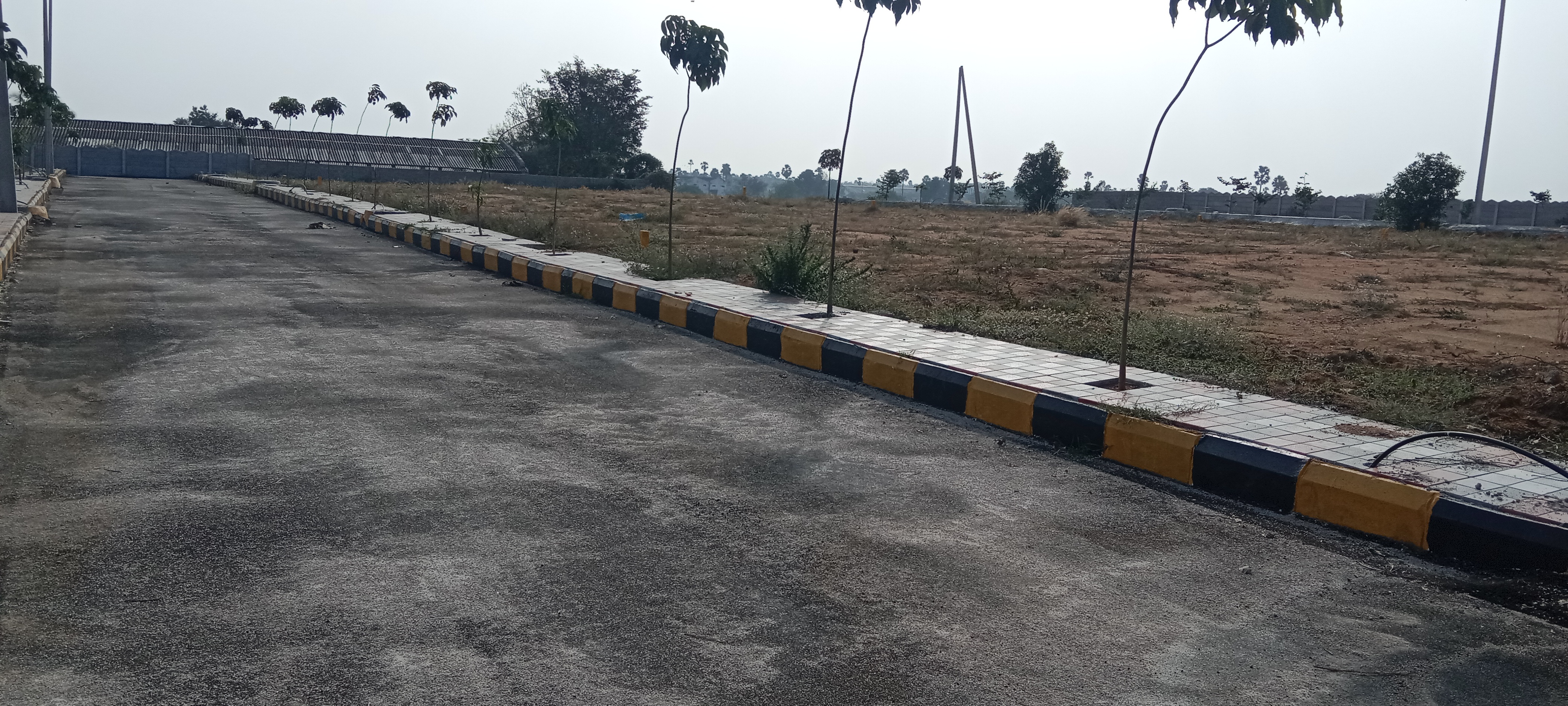  Plot For Resale in Kushaiguda Hyderabad 6339307