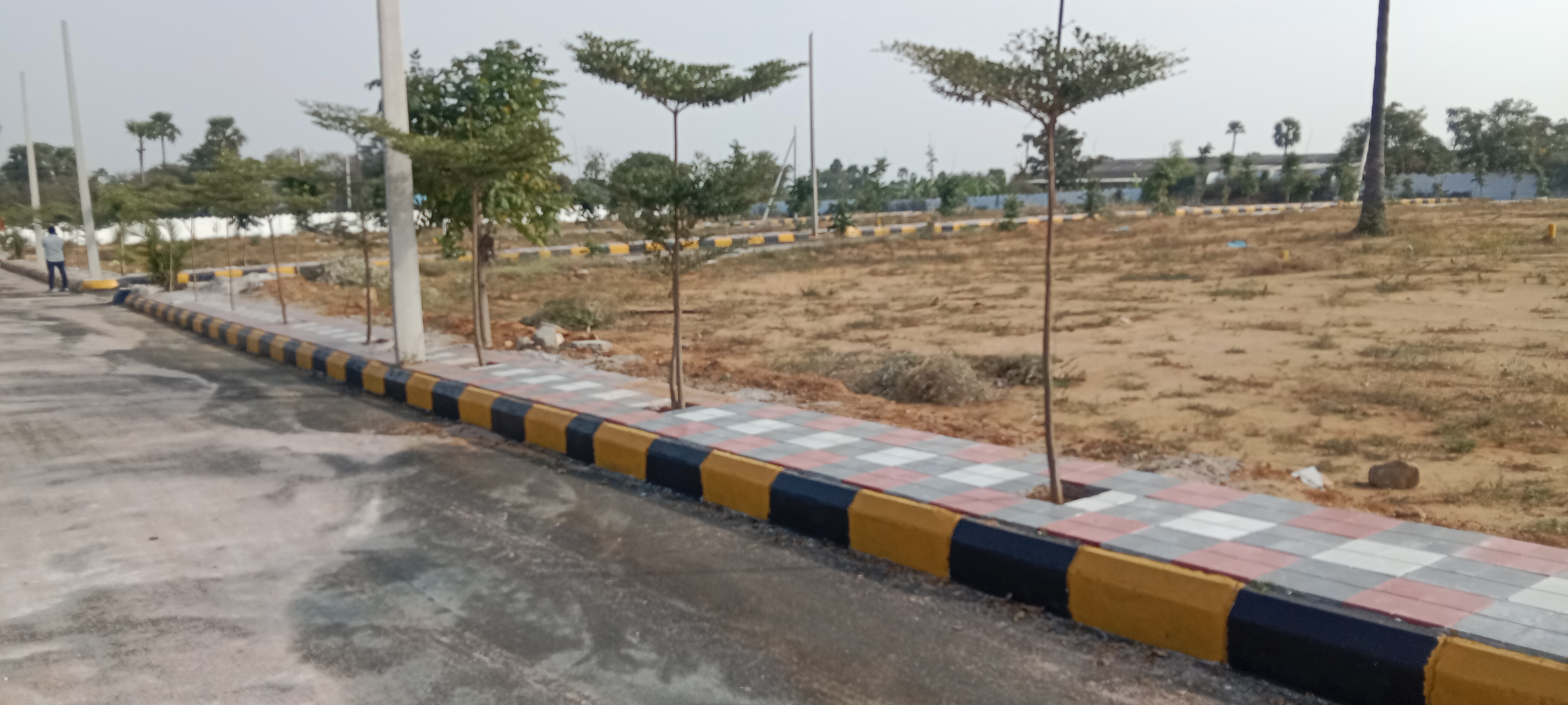 Plot For Resale in R K Puram Hyderabad  6339314