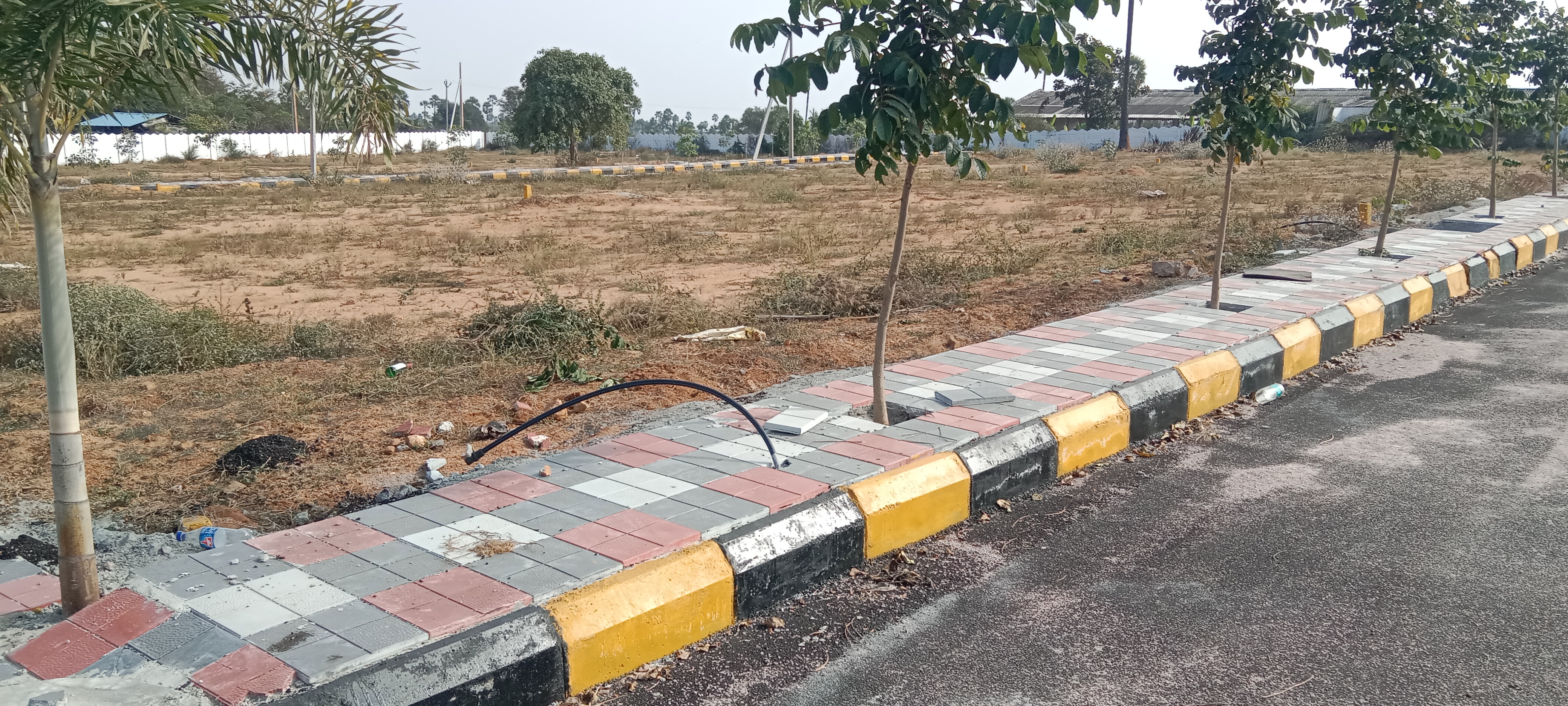  Plot For Resale in Tarnaka Hyderabad 6339327